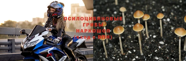 спиды Белокуриха