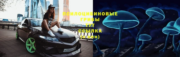 спиды Белокуриха