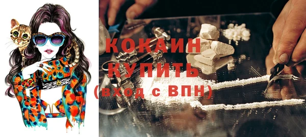 ГАЛЛЮЦИНОГЕННЫЕ ГРИБЫ Пересвет
